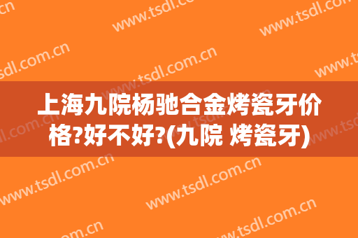 上海九院杨驰合金烤瓷牙价格?好不好?(九院 烤瓷牙)