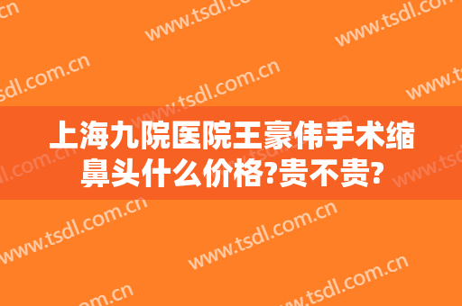 上海九院医院王豪伟手术缩鼻头什么价格?贵不贵?