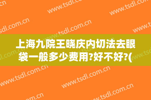 上海九院王晓庆内切法去眼袋一般多少费用?好不好?(上海九院切眼袋多少钱)