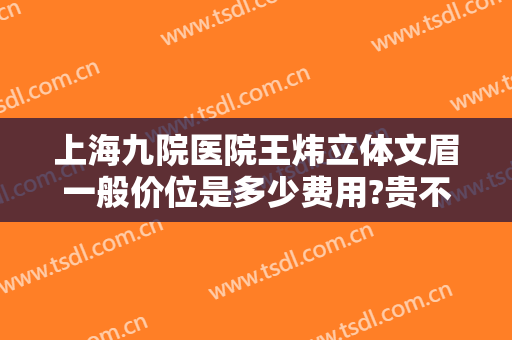 上海九院医院王炜立体文眉一般价位是多少费用?贵不贵?