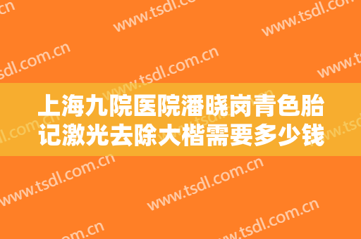 上海九院医院潘晓岗青色胎记激光去除大楷需要多少钱?贵不贵?