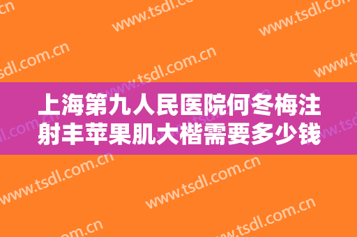 上海第九人民医院何冬梅注射丰苹果肌大楷需要多少钱?需要多久恢复?