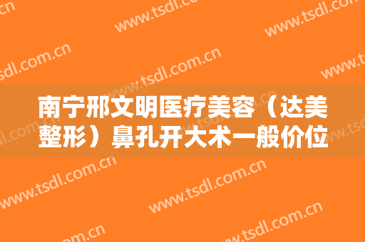 南宁邢文明医疗美容（达美整形）鼻孔开大术一般价位是多少?贵不贵?