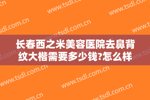 长春西之米美容医院去鼻背纹大楷需要多少钱?怎么样?