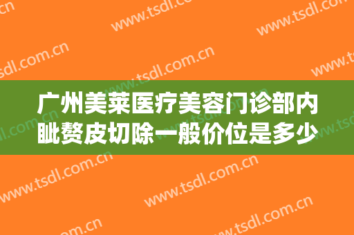 广州美莱医疗美容门诊部内眦赘皮切除一般价位是多少费用?可靠吗?(眼角内眦赘皮手术多少钱)