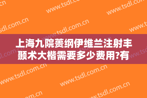 上海九院蒉纲伊维兰注射丰颞术大楷需要多少费用?有哪些优势?