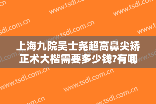 上海九院吴士尧超高鼻尖矫正术大楷需要多少钱?有哪些优势?