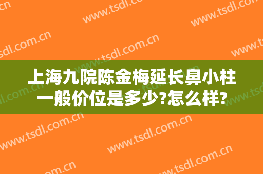 上海九院陈金梅延长鼻小柱一般价位是多少?怎么样?