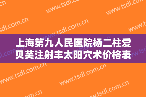 上海第九人民医院杨二柱爱贝芙注射丰太阳穴术价格表!靠谱吗?