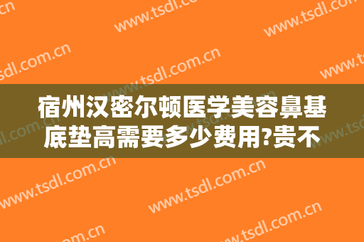 宿州汉密尔顿医学美容鼻基底垫高需要多少费用?贵不贵?