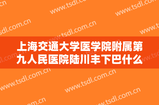 上海交通大学医学院附属第九人民医院陆川丰下巴什么价格?可靠吗?