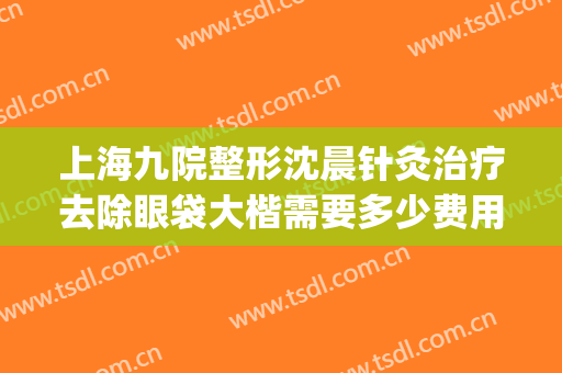 上海九院整形沈晨针灸治疗去除眼袋大楷需要多少费用?有哪些优势?(沈阳哪家医院做眼袋好)