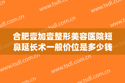合肥壹加壹整形美容医院短鼻延长术一般价位是多少钱?效果怎么样?(合肥1加1整形医院)