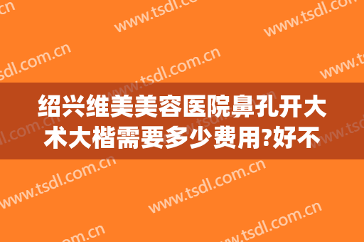 绍兴维美美容医院鼻孔开大术大楷需要多少费用?好不好?(美容医院做鼻子多少钱)