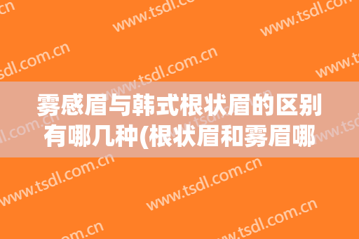 雾感眉与韩式根状眉的区别有哪几种(根状眉和雾眉哪个好)