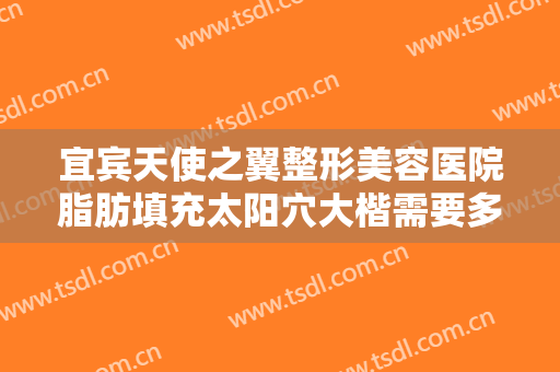 宜宾天使之翼整形美容医院脂肪填充太阳穴大楷需要多少费用?可靠吗?