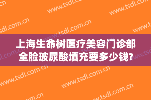 上海生命树医疗美容门诊部全脸玻尿酸填充要多少钱?好不好?(上海生命树医疗美容官网)