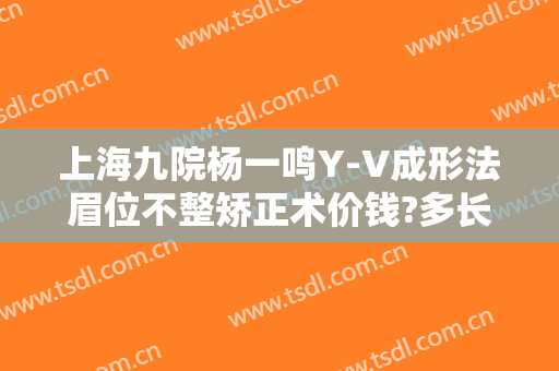 上海九院杨一鸣Y-V成形法眉位不整矫正术价钱?多长时间恢复?