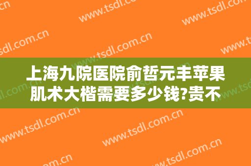 上海九院医院俞哲元丰苹果肌术大楷需要多少钱?贵不贵?