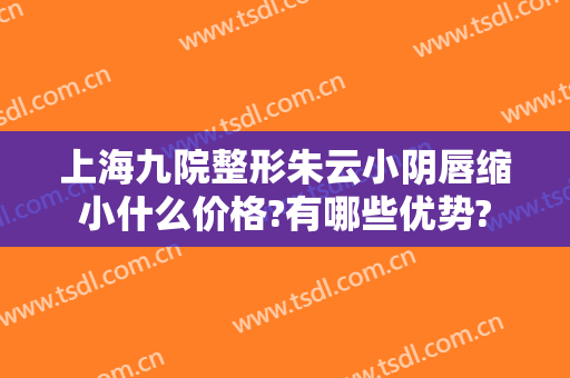 上海九院整形朱云小阴唇缩小什么价格?有哪些优势?