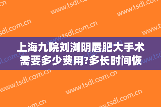 上海九院刘浏阴唇肥大手术需要多少费用?多长时间恢复?