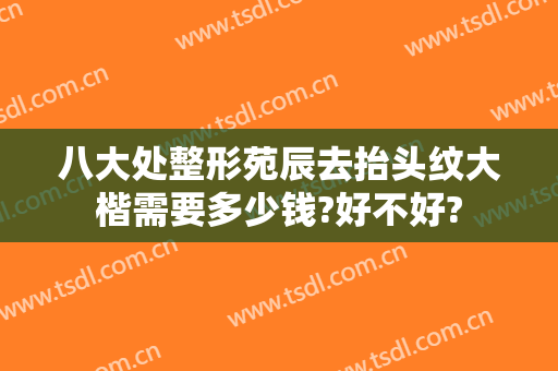 八大处整形苑辰去抬头纹大楷需要多少钱?好不好?