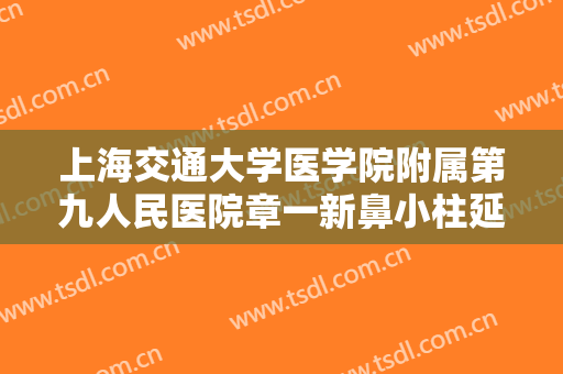 上海交通大学医学院附属第九人民医院章一新鼻小柱延长大楷需要多少费用?有哪些优势?