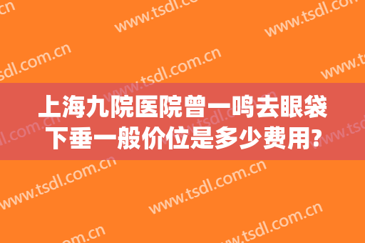 上海九院医院曾一鸣去眼袋下垂一般价位是多少费用?好不好?(上海九院哪位医生做眼袋好)