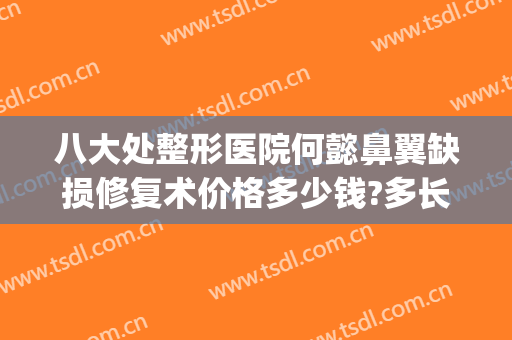 八大处整形医院何懿鼻翼缺损修复术价格多少钱?多长时间恢复?(鼻部修复整形医院最好的医院)