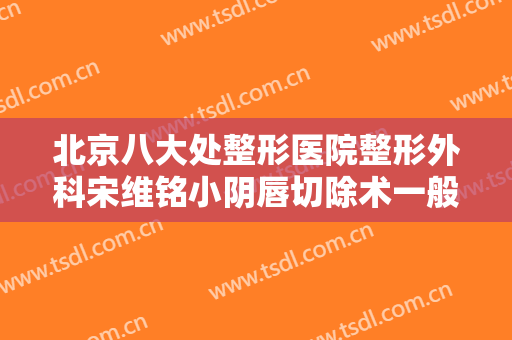 北京八大处整形医院整形外科宋维铭小阴唇切除术一般价位是多少费用?有哪些优势?