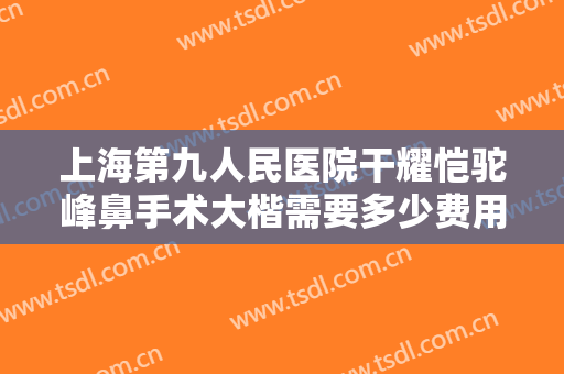 上海第九人民医院干耀恺驼峰鼻手术大楷需要多少费用?贵不贵?