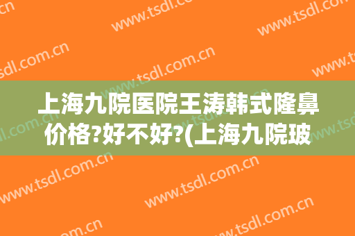 上海九院医院王涛韩式隆鼻价格?好不好?(上海九院玻尿酸隆鼻价格)