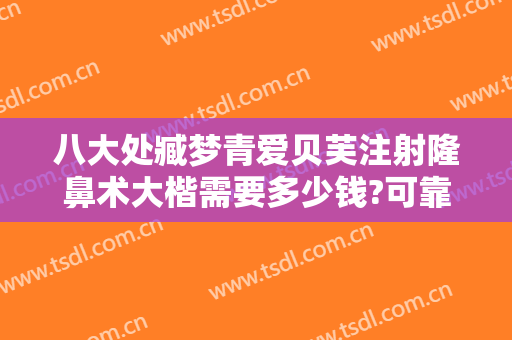 八大处臧梦青爱贝芙注射隆鼻术大楷需要多少钱?可靠吗?