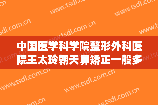 中国医学科学院整形外科医院王太玲朝天鼻矫正一般多少钱?怎么样?(北京整容医院隆鼻)