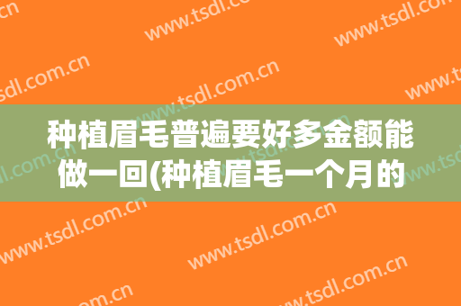 种植眉毛普遍要好多金额能做一回(种植眉毛一个月的效果)