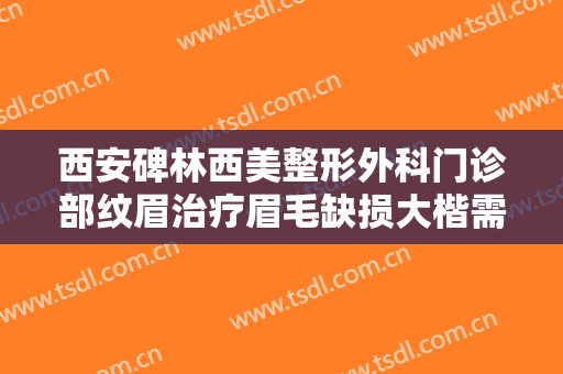 西安碑林西美整形外科门诊部纹眉治疗眉毛缺损大楷需要多少费用?怎么样?