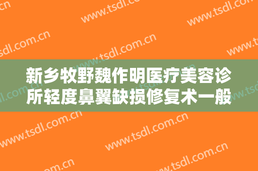 新乡牧野魏作明医疗美容诊所轻度鼻翼缺损修复术一般价位是多少费用?好不好?