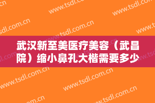 武汉新至美医疗美容（武昌院）缩小鼻孔大楷需要多少费用?需要多久恢复?