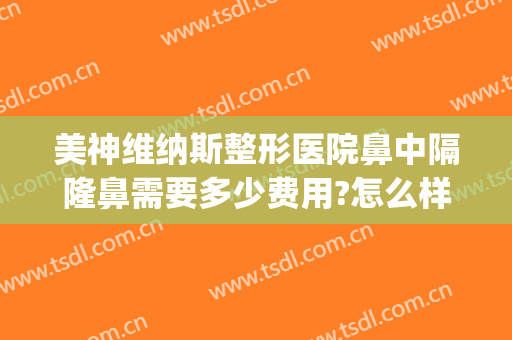 美神维纳斯整形医院鼻中隔隆鼻需要多少费用?怎么样?(泰美维纳斯整形医院)