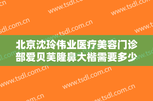 北京沈玲伟业医疗美容门诊部爱贝芙隆鼻大楷需要多少钱?有哪些优势?