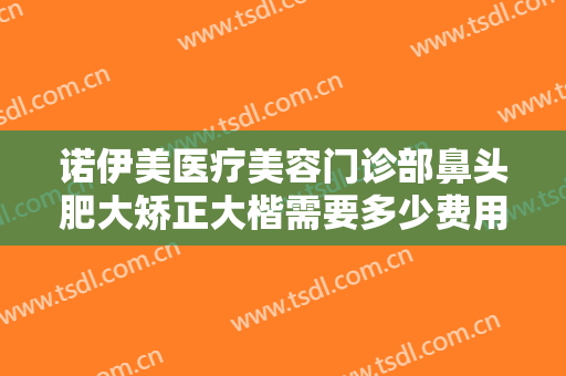 诺伊美医疗美容门诊部鼻头肥大矫正大楷需要多少费用?好不好?