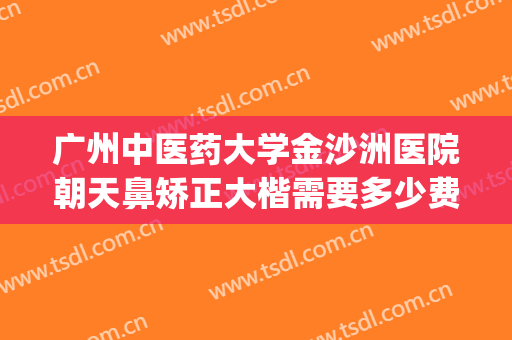 广州中医药大学金沙洲医院朝天鼻矫正大楷需要多少费用?靠谱吗?(广东整容医院哪家评价最好)