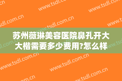 苏州薇琳美容医院鼻孔开大大楷需要多少费用?怎么样?(苏州薇琳整形医院好吗)