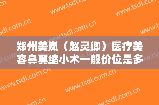 郑州美岚（赵灵卿）医疗美容鼻翼缩小术一般价位是多少费用?怎么样?