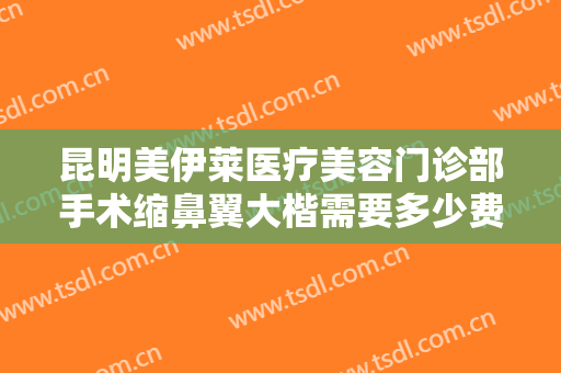 昆明美伊莱医疗美容门诊部手术缩鼻翼大楷需要多少费用?需要多久恢复?