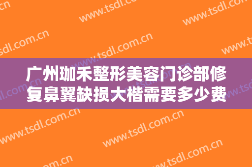 广州珈禾整形美容门诊部修复鼻翼缺损大楷需要多少费用?效果怎么样?