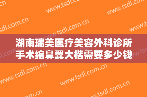 湖南瑞美医疗美容外科诊所手术缩鼻翼大楷需要多少钱?靠谱吗?