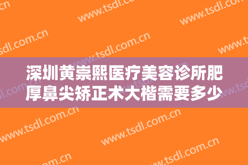 深圳黄崇熙医疗美容诊所肥厚鼻尖矫正术大楷需要多少钱?怎么样?