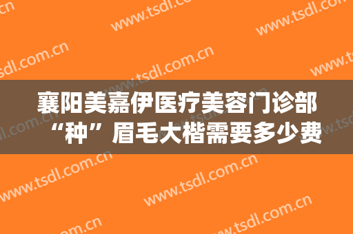 襄阳美嘉伊医疗美容门诊部“种”眉毛大楷需要多少费用?靠谱吗?(襄阳正规的医美机构有哪些)