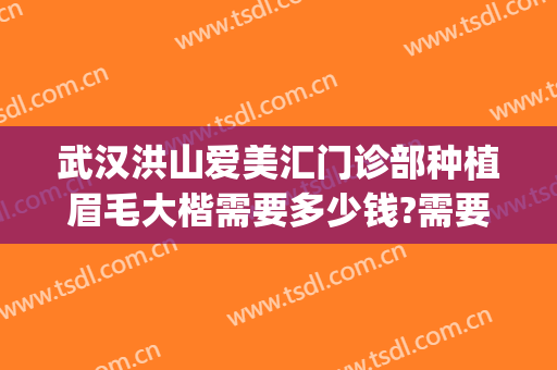 武汉洪山爱美汇门诊部种植眉毛大楷需要多少钱?需要多久恢复?(武汉洪山爱美汇整形美容怎么样)